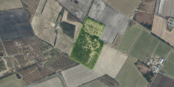 Matrikelkort Barslundvej 4A