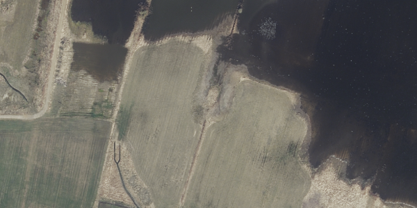 Matrikelkort Holme 2D