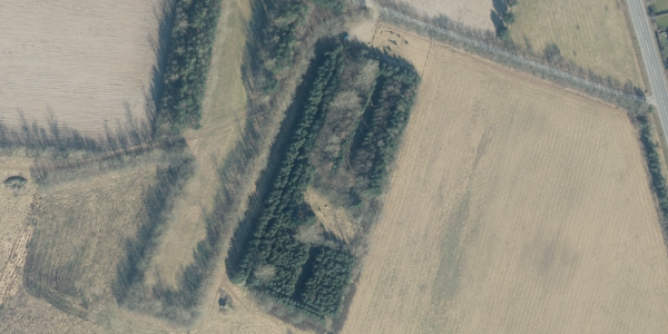 Matrikelkort Åbrynet 21