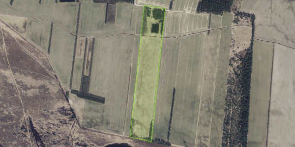 Matrikelkort Borupvej 15D