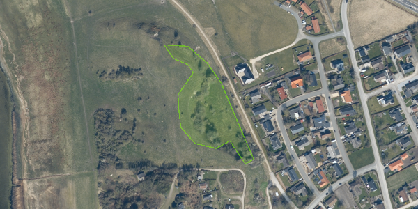 Matrikelkort Bjerget 99