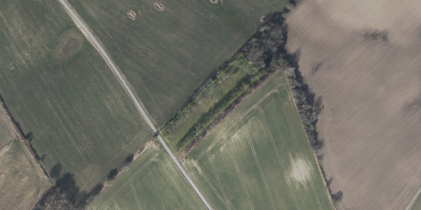 Matrikelkort Odstrupvej 19