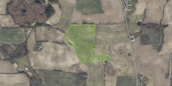 Matrikelkort Rundbjerg 59