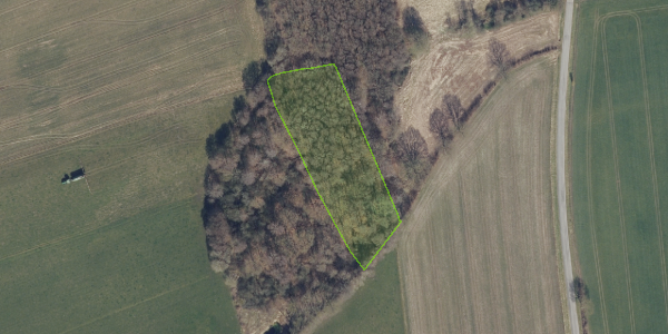 Matrikelkort Korsvej 21