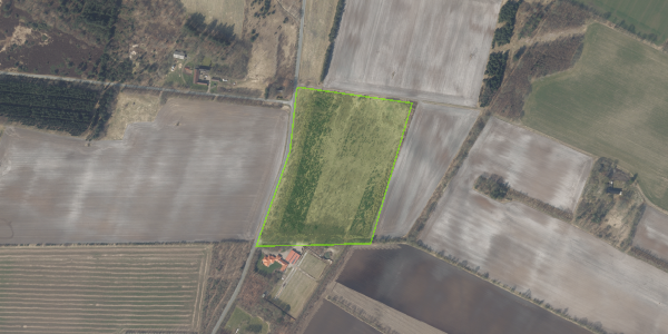 Matrikelkort Firhuse 20B