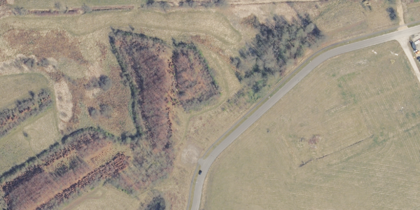 Matrikelkort Trianglen 21