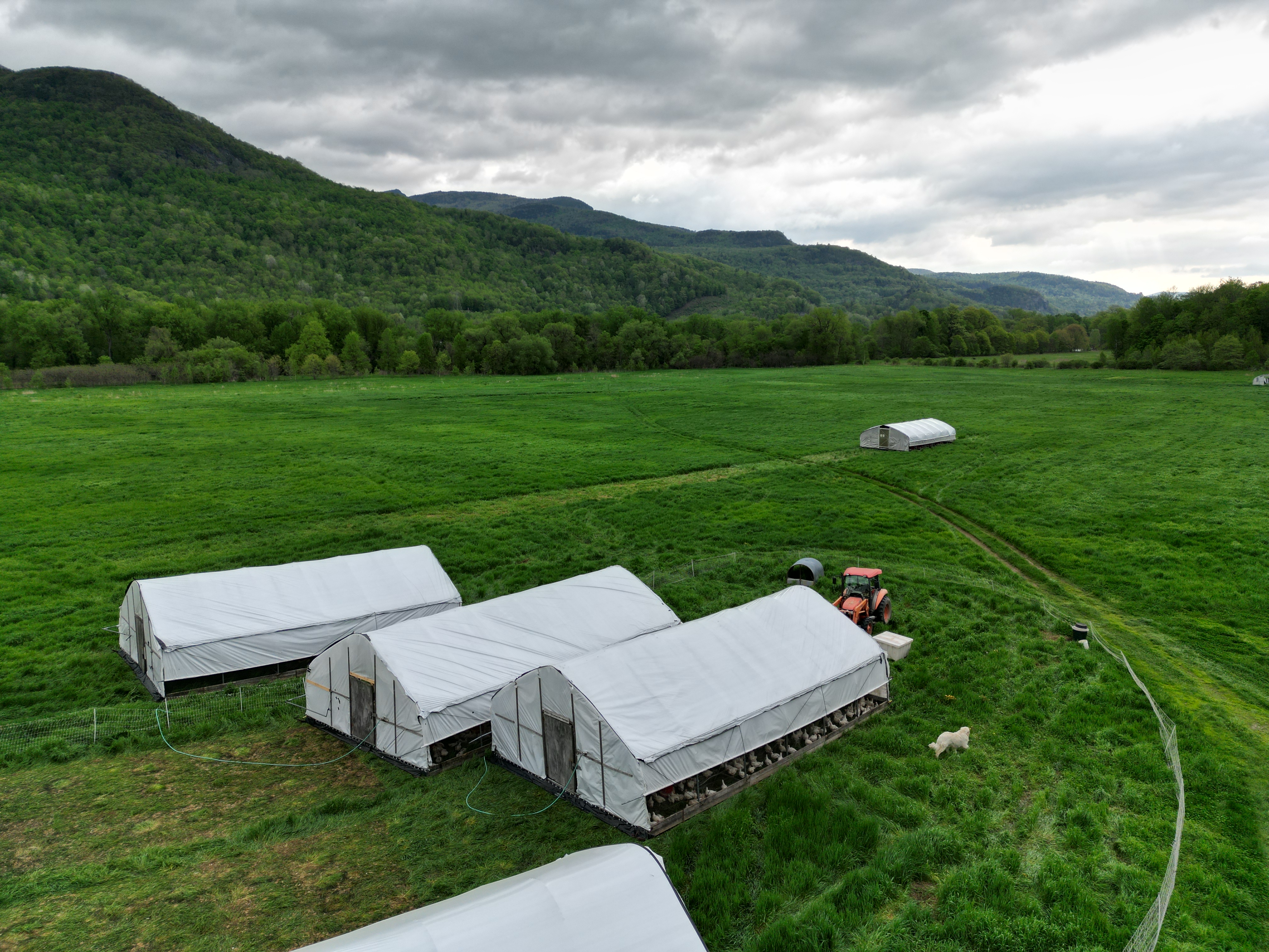 Aerial view of Maple Wind Farm