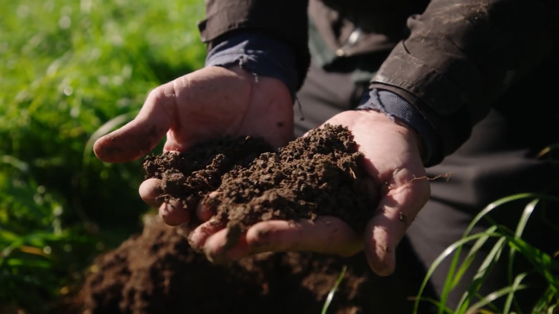 A handful of dark, crumbly pasture soil