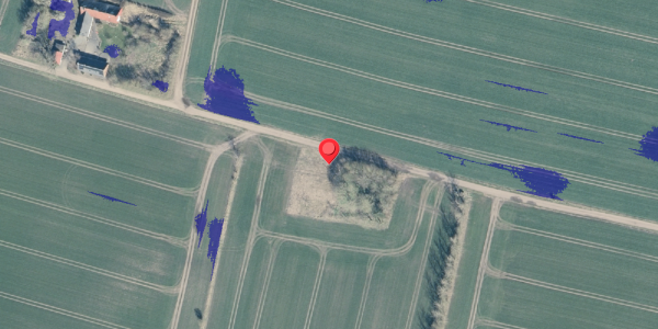Ekstrem regn på Alsevej 1, 7870 Roslev