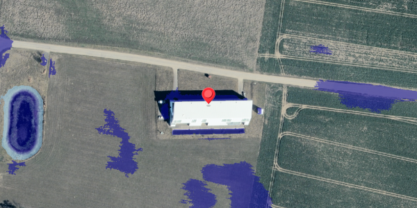 Ekstrem regn på Flensbjerg 8, 4960 Holeby