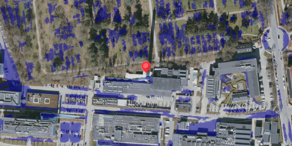 Ekstrem regn på Heden 3X, 5000 Odense C