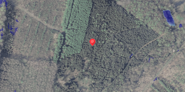 Ekstrem regn på Haarvej 40, . , 8382 Hinnerup