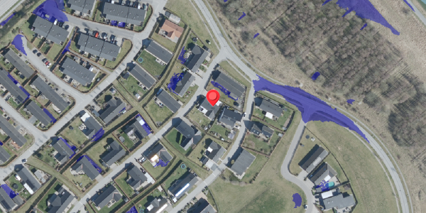Ekstrem regn på Hegnet 3, 4100 Ringsted
