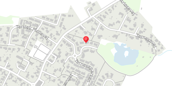 Trafikstøjkort på Ternesøparken 21, 4690 Haslev