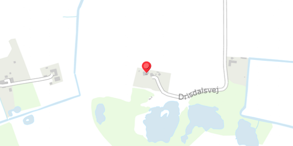 Trafikstøjkort på Drisdalsvej 46, 4100 Ringsted