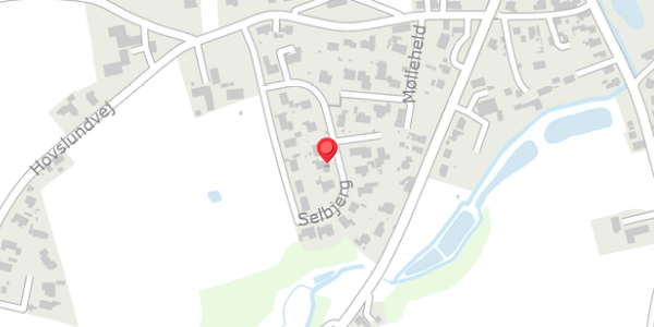 Trafikstøjkort på Selbjerg 13, 6100 Haderslev