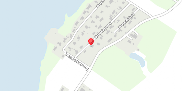 Trafikstøjkort på Olesbjerg 13, 8660 Skanderborg