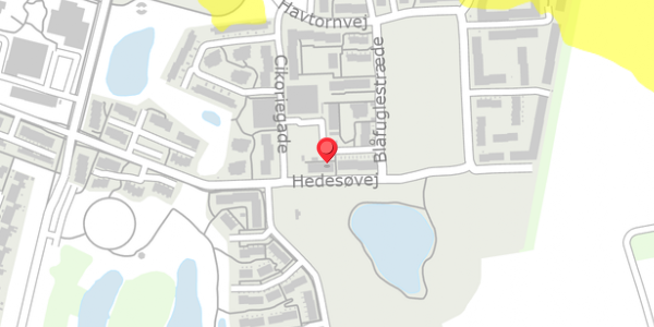Trafikstøjkort på Cikoriegade 50, 2640 Hedehusene