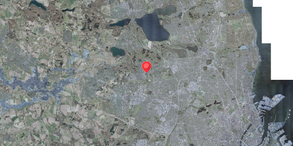 Stomflod og havvand på Åfaldet 21, 2730 Herlev