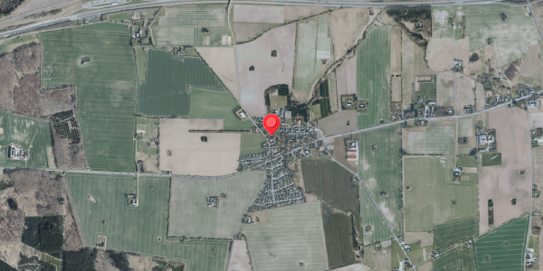 Jordforureningskort på Bøgedevej 8A, 4100 Ringsted