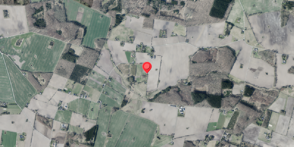 Jordforureningskort på Mikkelborgvej 6, . , 4100 Ringsted