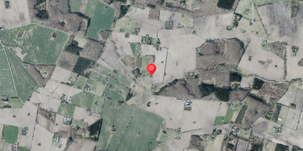 Jordforureningskort på Mikkelborgvej 8, . , 4100 Ringsted