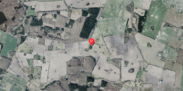 Jordforureningskort på Nyvangsvej 103, 4100 Ringsted