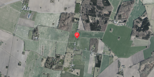 Jordforureningskort på Bedstedvej 77, 4100 Ringsted