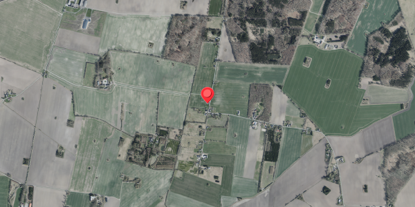 Jordforureningskort på Bedstedvej 80, 4100 Ringsted