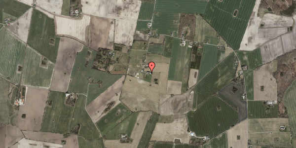 Jordforureningskort på Bedstedvej 109, . , 4100 Ringsted