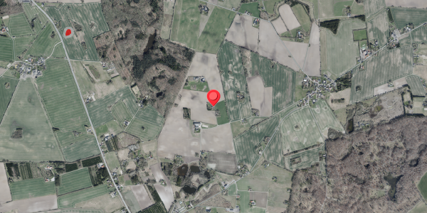 Jordforureningskort på Drisdalsvej 36, 4100 Ringsted