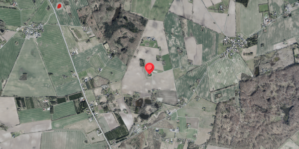 Jordforureningskort på Drisdalsvej 40, 4100 Ringsted