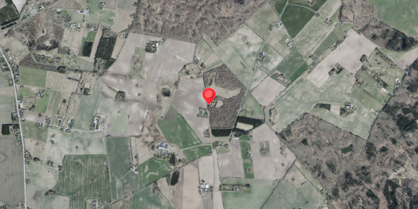 Jordforureningskort på Kastrupvej 50, 4100 Ringsted