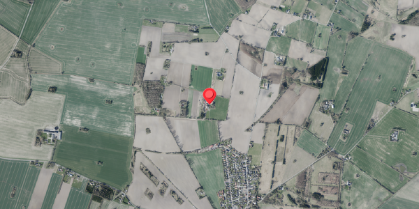 Jordforureningskort på Nyhusvej 9, 4100 Ringsted