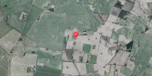 Jordforureningskort på Nyhusvej 18, . , 4100 Ringsted