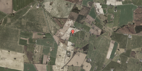 Jordforureningskort på Nyvangsvej 22, 4100 Ringsted