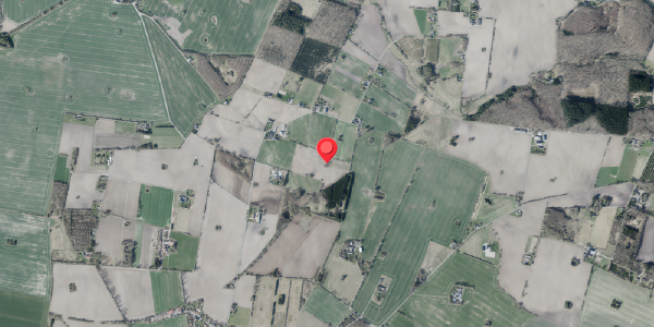 Jordforureningskort på Nyvangsvej 38, 4100 Ringsted