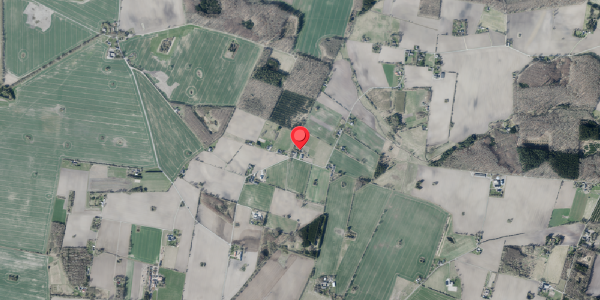 Jordforureningskort på Nyvangsvej 41, 4100 Ringsted