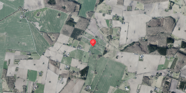 Jordforureningskort på Nyvangsvej 48, . , 4100 Ringsted