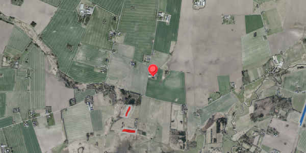 Jordforureningskort på Sigerstedvej 77, . , 4100 Ringsted