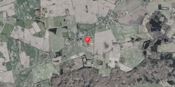 Jordforureningskort på Skee Huse 9, 4100 Ringsted