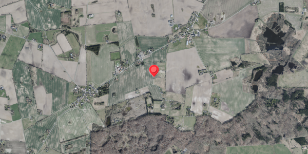 Jordforureningskort på Skee Huse 11, 4100 Ringsted