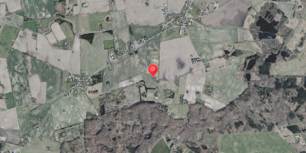 Jordforureningskort på Skee Huse 19, 4100 Ringsted