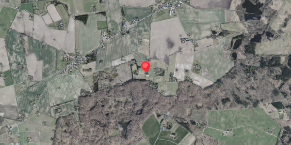 Jordforureningskort på Skee Huse 31, 4100 Ringsted