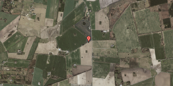 Jordforureningskort på Skovvej 49, 4100 Ringsted