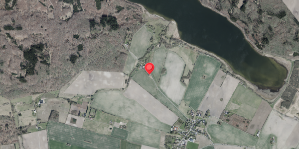 Jordforureningskort på Store Bøgeskovvej 21, 4100 Ringsted