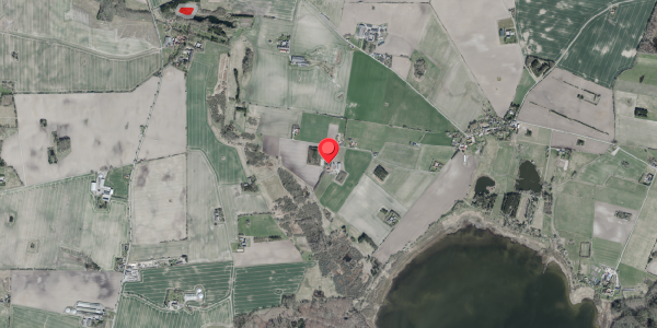 Jordforureningskort på Frenderupvej 8, 4100 Ringsted