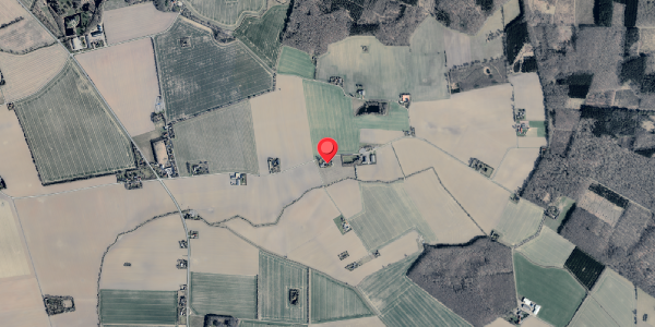 Jordforureningskort på Torebyvej 4, 4920 Søllested