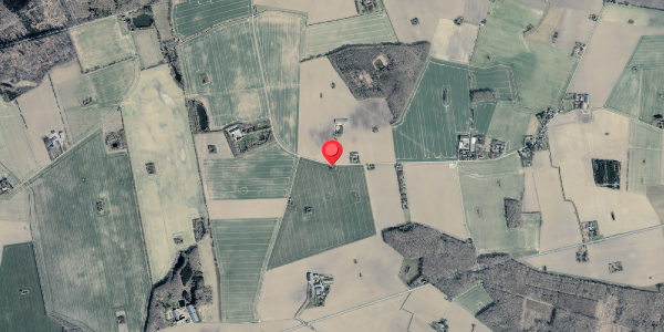 Jordforureningskort på Abedvej 38, 4920 Søllested