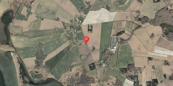 Jordforureningskort på Orelundvej 39, 5592 Ejby